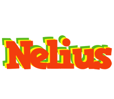 Nelius bbq logo