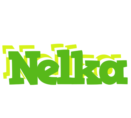 Nelka picnic logo