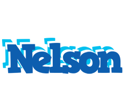 Nelson business logo