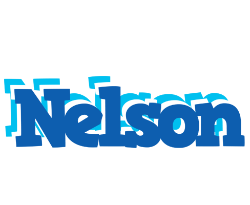 Nelson business logo