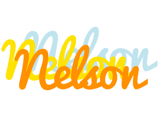 Nelson energy logo