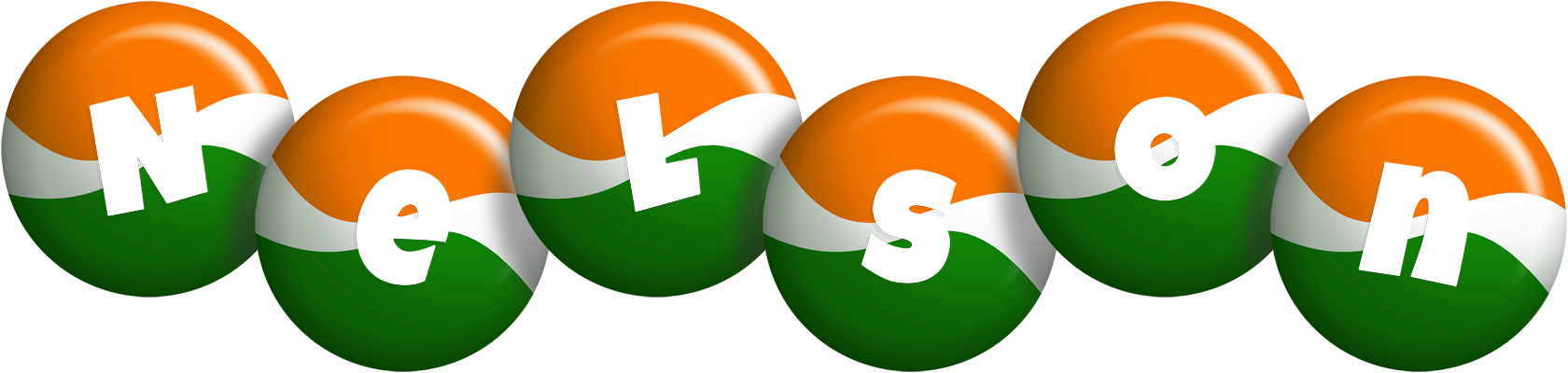Nelson india logo