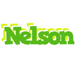 Nelson picnic logo