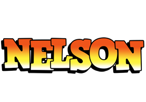 Nelson sunset logo