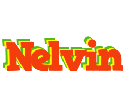 Nelvin bbq logo