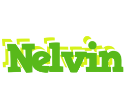 Nelvin picnic logo