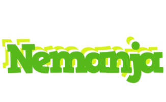 Nemanja picnic logo