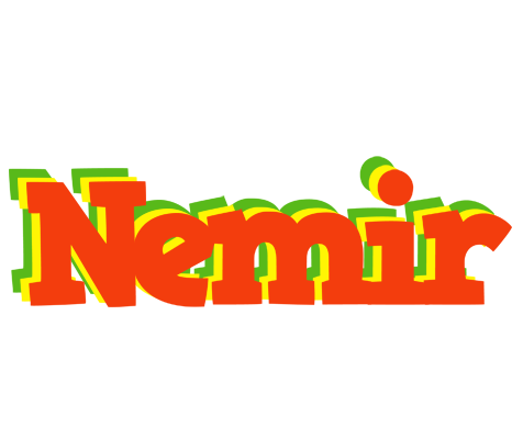 Nemir bbq logo