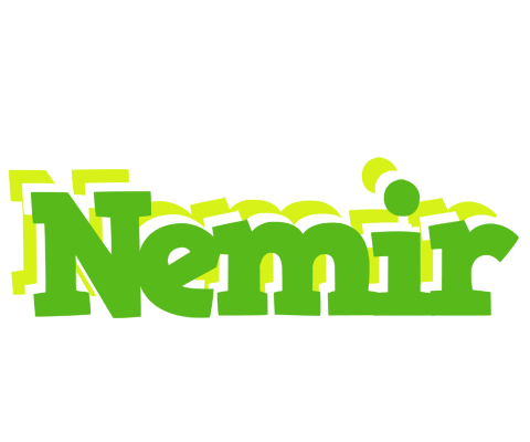 Nemir picnic logo