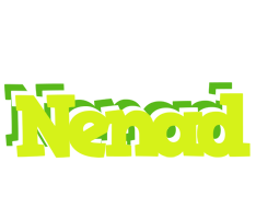 Nenad citrus logo