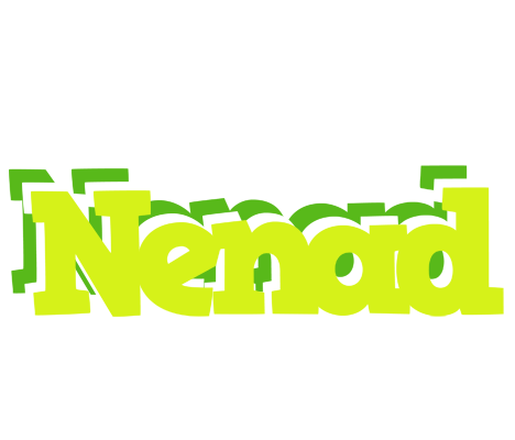 Nenad citrus logo