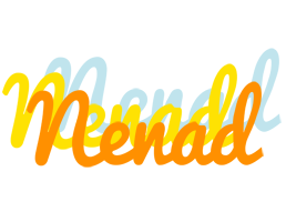 Nenad energy logo