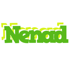 Nenad picnic logo