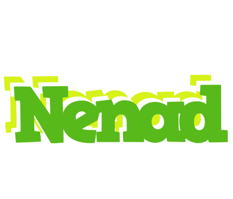 Nenad picnic logo