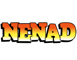 Nenad sunset logo