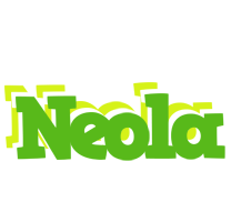 Neola picnic logo