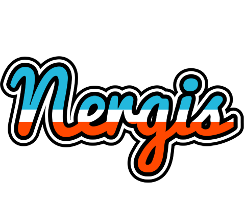 Nergis america logo