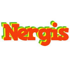 Nergis bbq logo