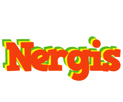 Nergis bbq logo