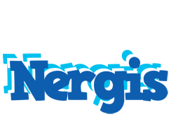 Nergis business logo