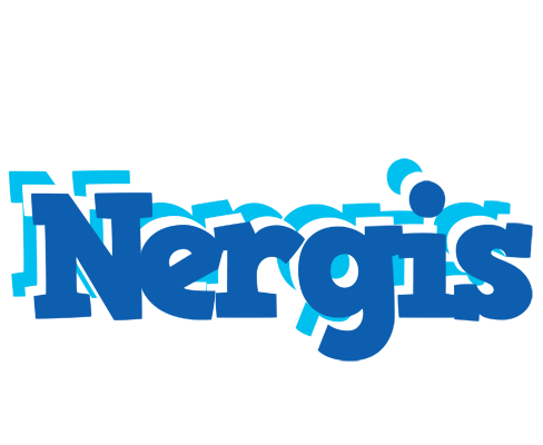 Nergis business logo