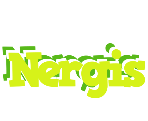 Nergis citrus logo