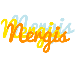 Nergis energy logo