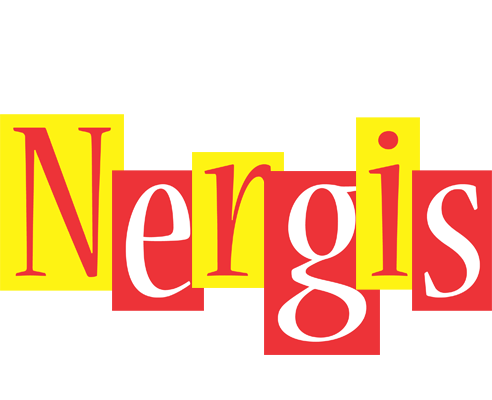 Nergis errors logo