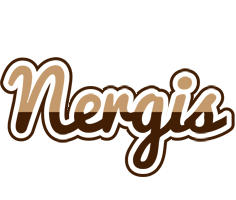 Nergis exclusive logo