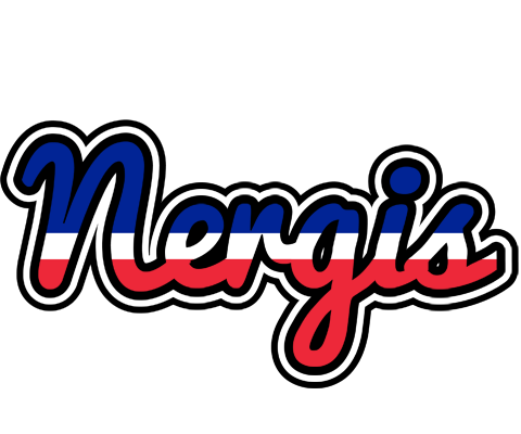 Nergis france logo