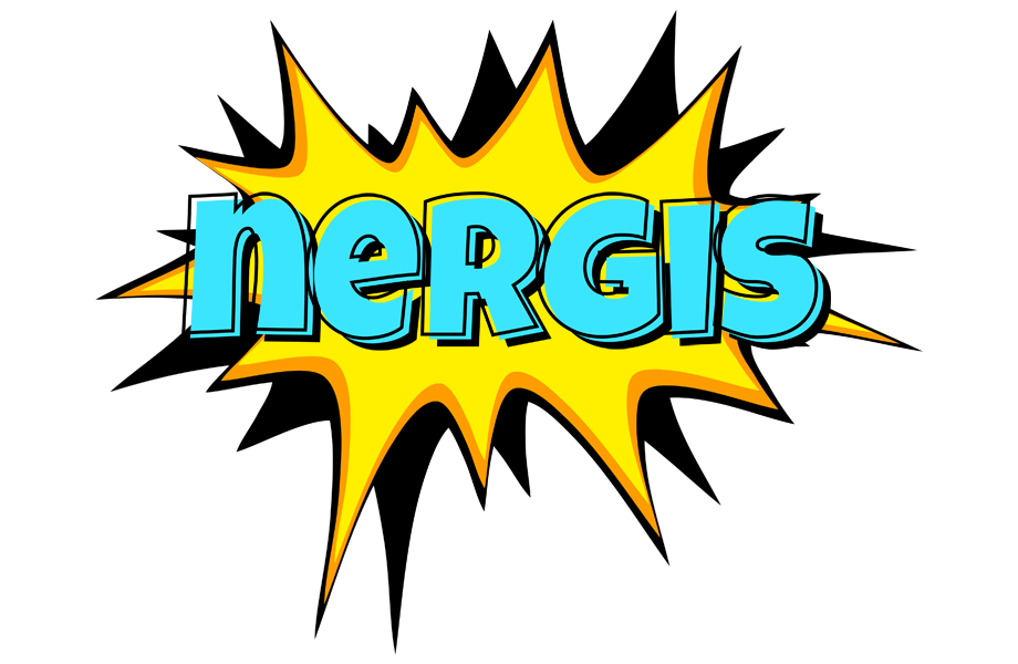 Nergis indycar logo