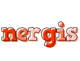 Nergis paint logo