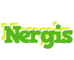 Nergis picnic logo