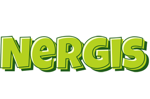 Nergis summer logo