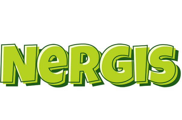 Nergis summer logo