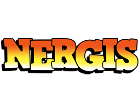 Nergis sunset logo