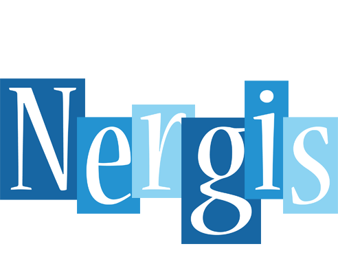 Nergis winter logo