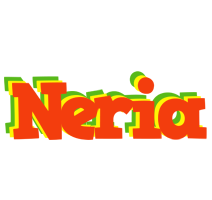 Neria bbq logo