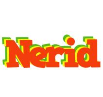 Nerid bbq logo