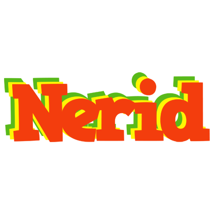 Nerid bbq logo