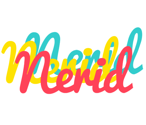 Nerid disco logo