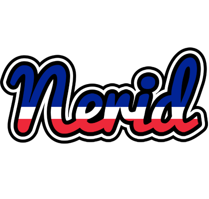 Nerid france logo