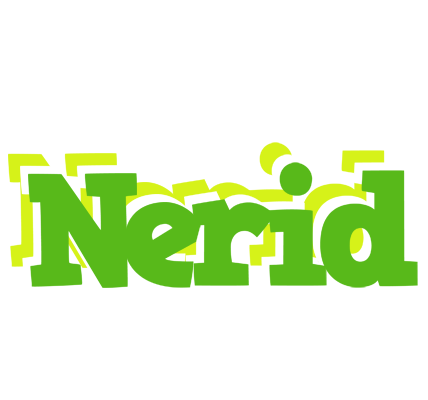 Nerid picnic logo