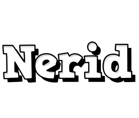 Nerid snowing logo