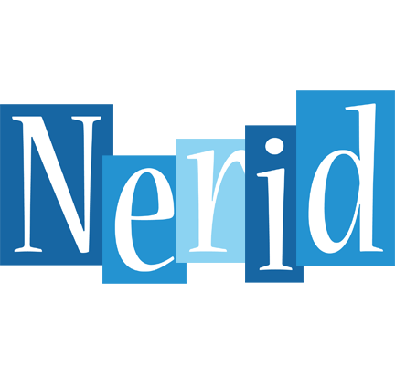 Nerid winter logo