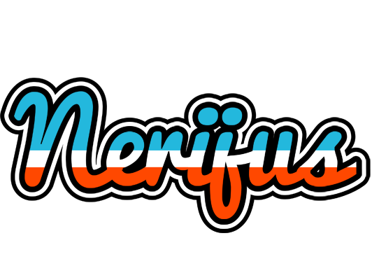 Nerijus america logo