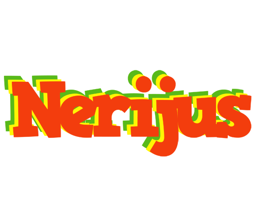 Nerijus bbq logo