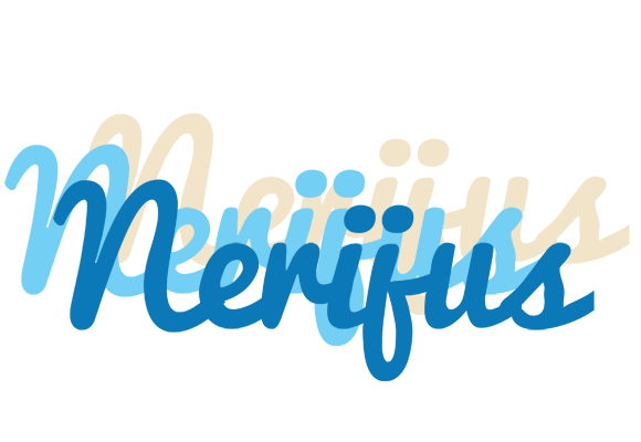 Nerijus breeze logo