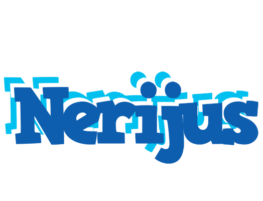 Nerijus business logo