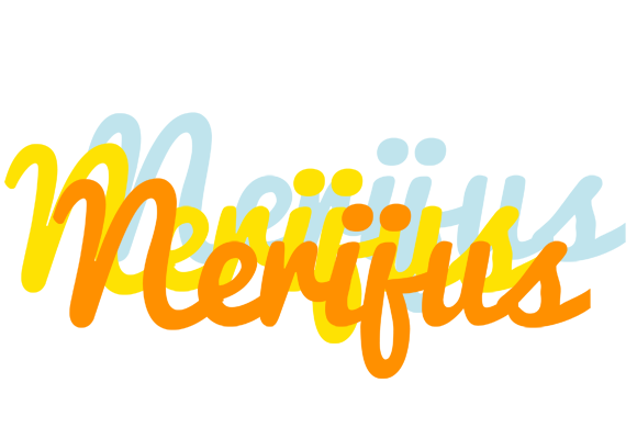 Nerijus energy logo